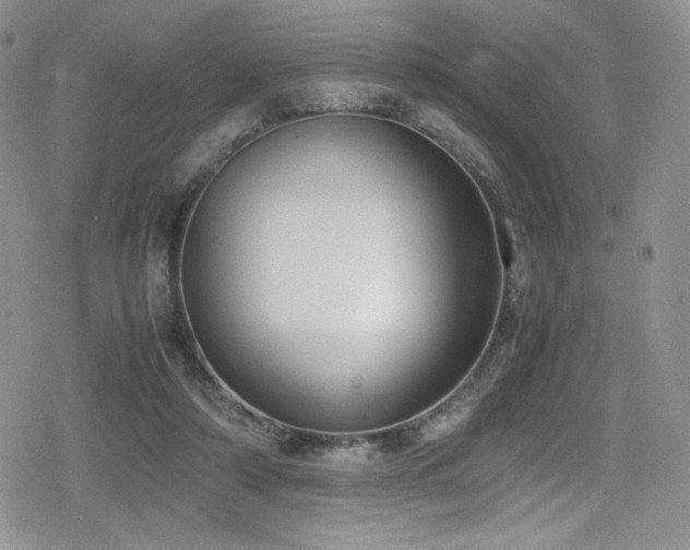 X0000080170306200612081407