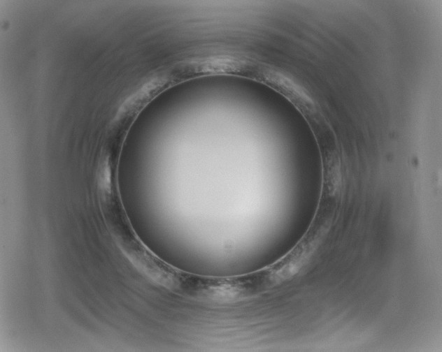 X0000080170310200612081407