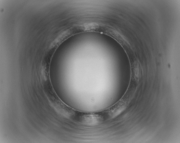 X0000080170316200612081407