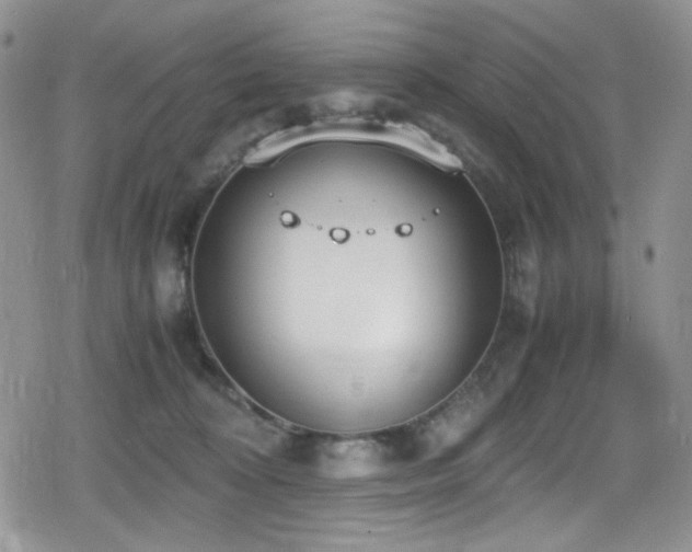 X0000080170324200612081407