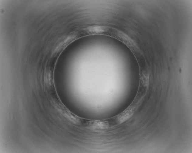 X0000080170330200612081407