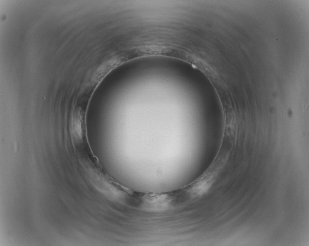 X0000080170334200612081407