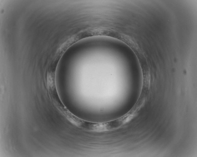 X0000080170335200612081407