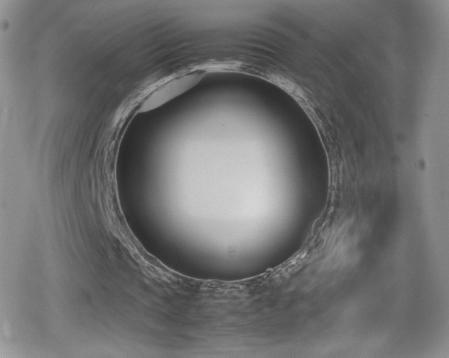 X0000080170337200612081406