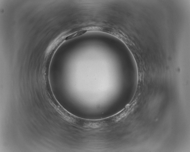 X0000080170341200612081406