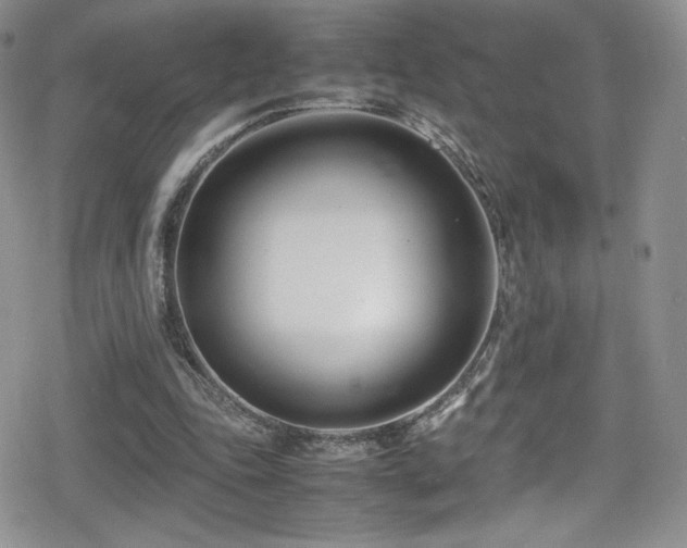 X0000080170343200612081406