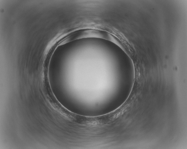 X0000080170344200612081406