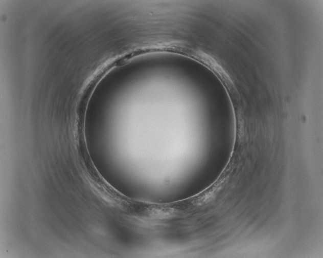 X0000080170346200612081406