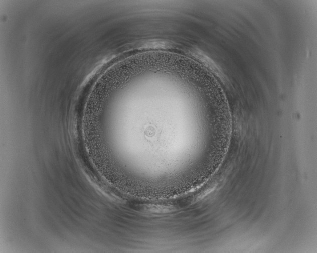 X0000080170347200612081406