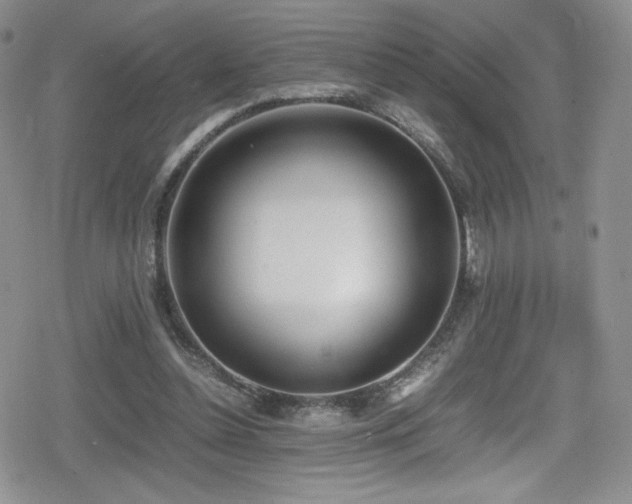 X0000080170348200612081406