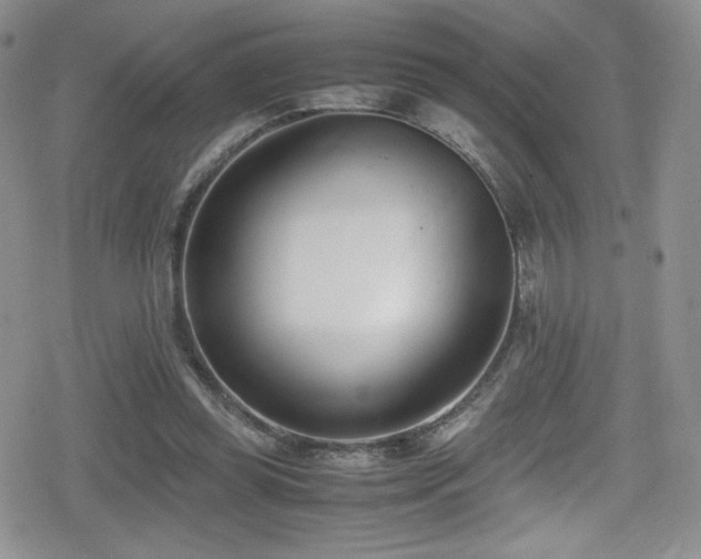X0000080170349200612081406