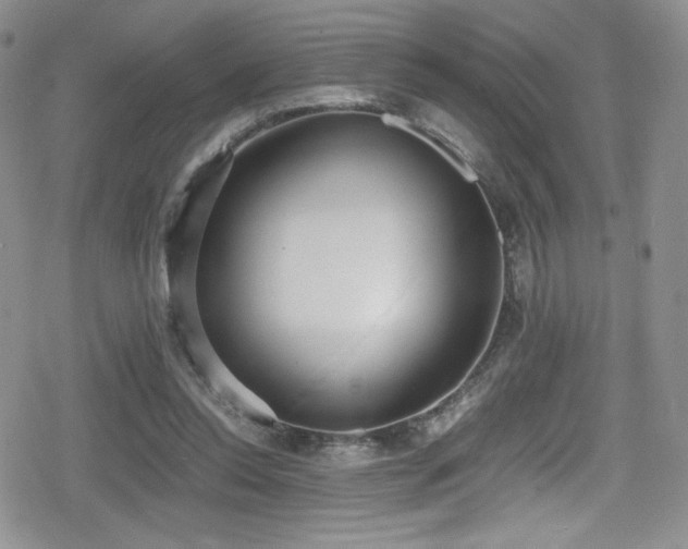 X0000080170350200612081406