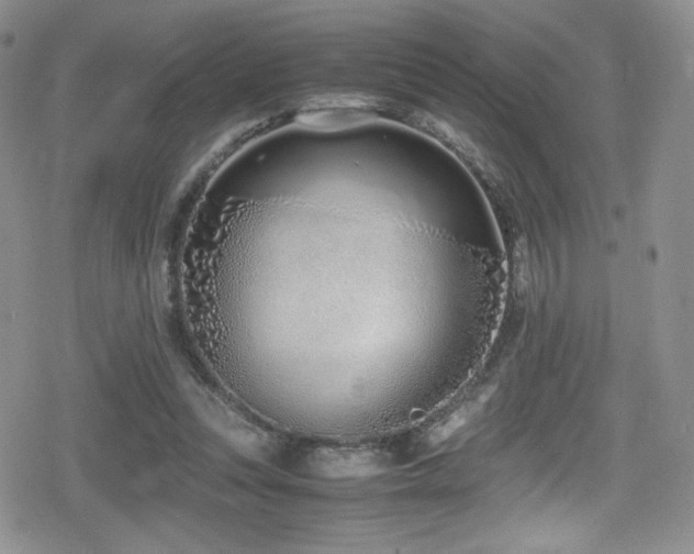 X0000080170351200612081406