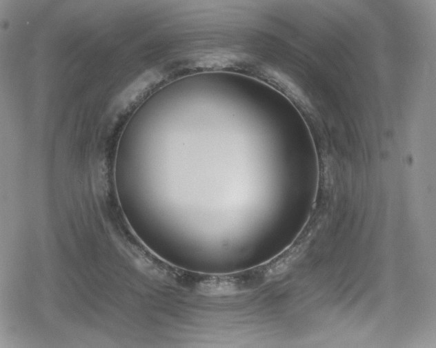 X0000080170354200612081406