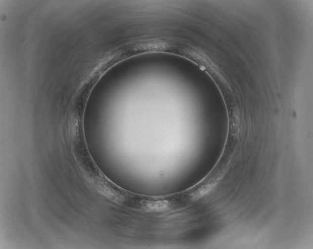 X0000080170355200612081406