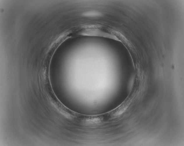 X0000080170357200612081406