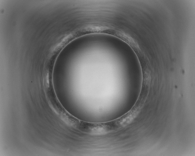 X0000080170358200612081406