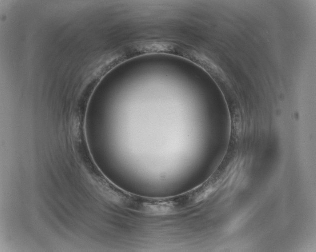 X0000080170359200612081406
