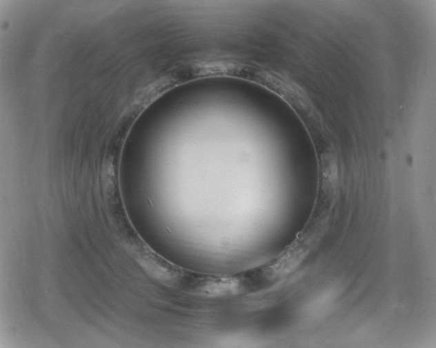 X0000080170369200612081406