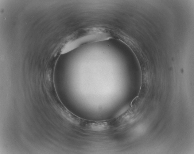 X0000080170373200612081406