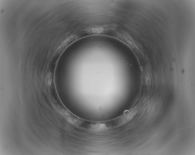 X0000080170374200612081406