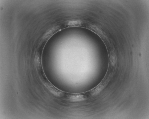 X0000080170375200612081406