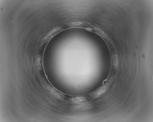 X0000080170378200612081407