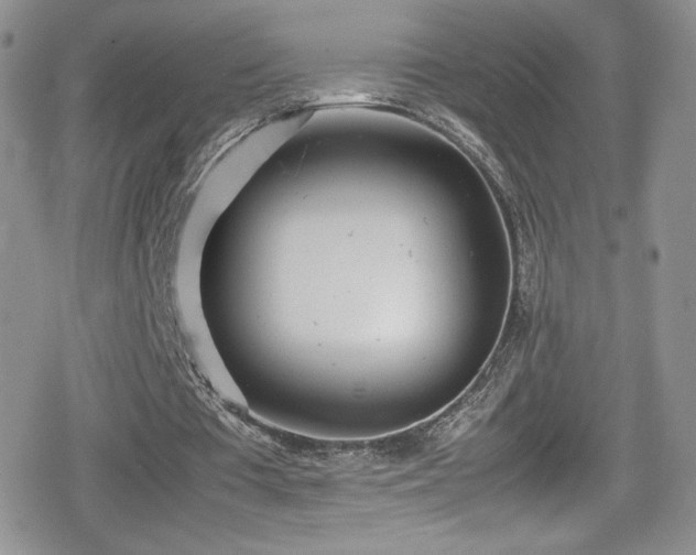 X0000080170385200612081406