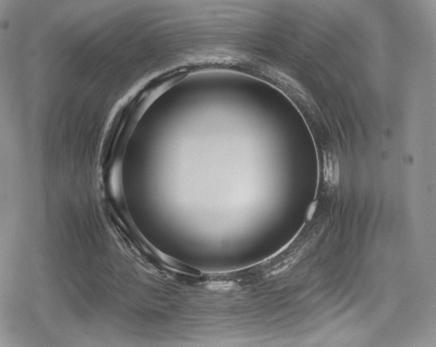 X0000080170388200612081406