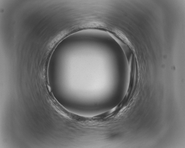 X0000080170389200612081406