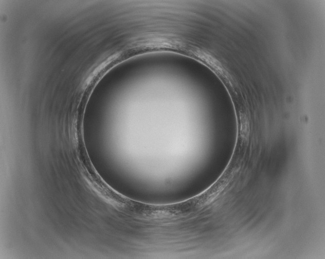 X0000080170390200612081406