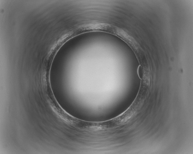 X0000080170394200612081406