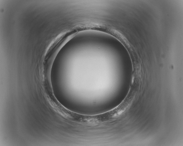 X0000080170395200612081406