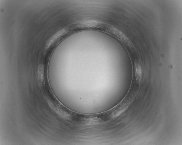 X0000080170396200612081406