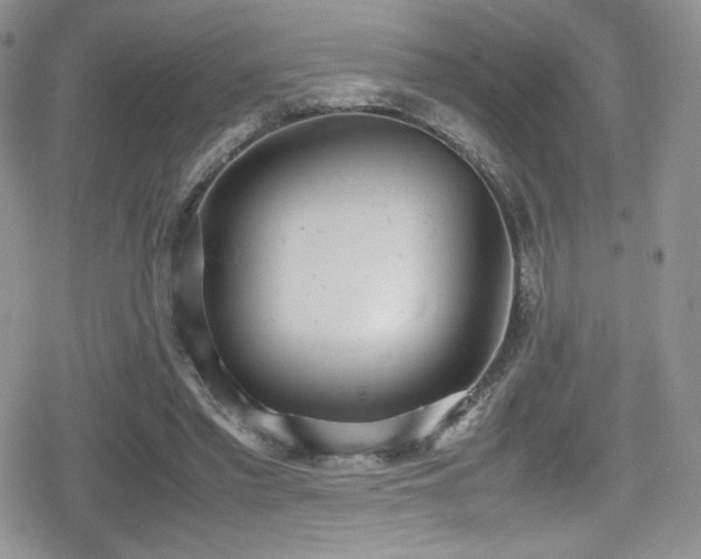 X0000080170397200612081406