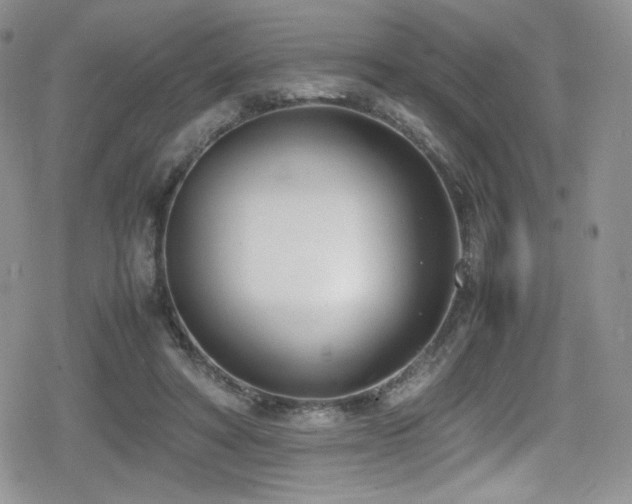 X0000080170402200612081406