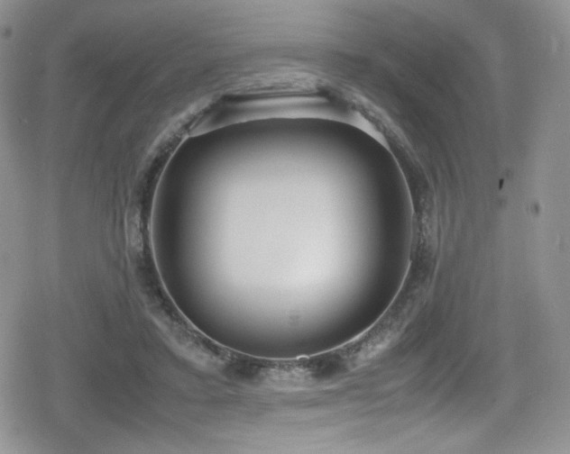 X0000080170403200612081406