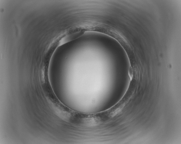 X0000080170404200612081406