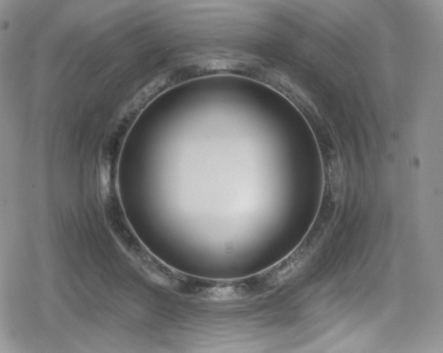 X0000080170406200612081406