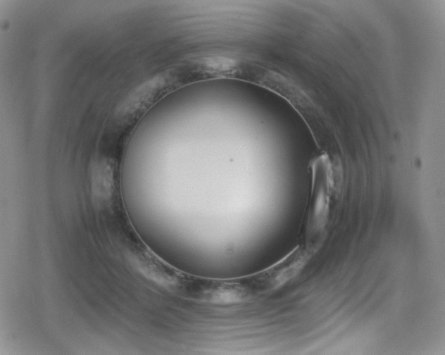 X0000080170412200612081405