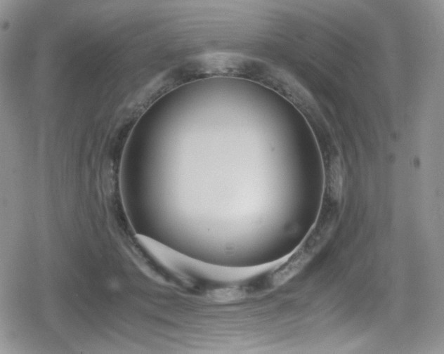 X0000080170413200612081405