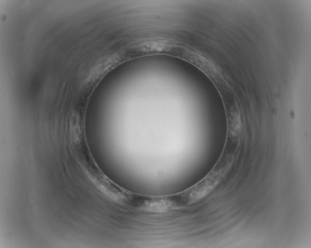 X0000080170414200612081405