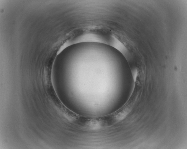 X0000080170416200612081405