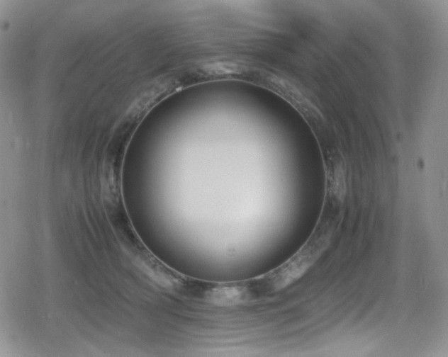 X0000080170418200612081405