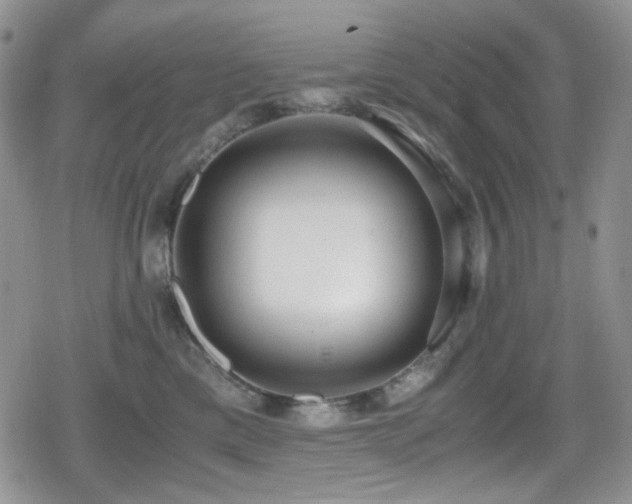 X0000080170425200612081405