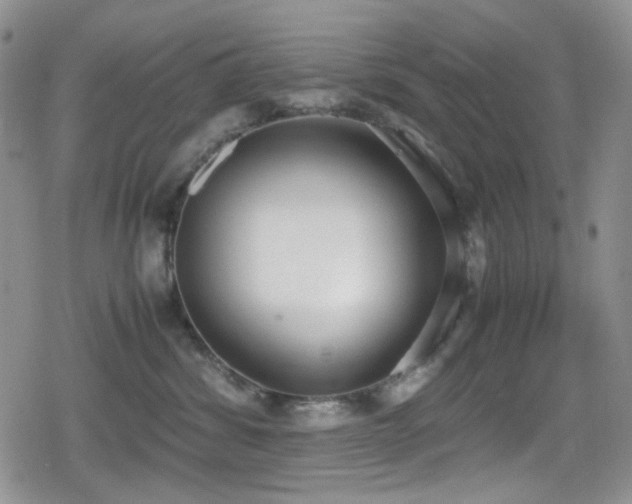 X0000080170428200612081405