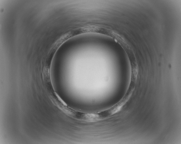 X0000080170429200612081405
