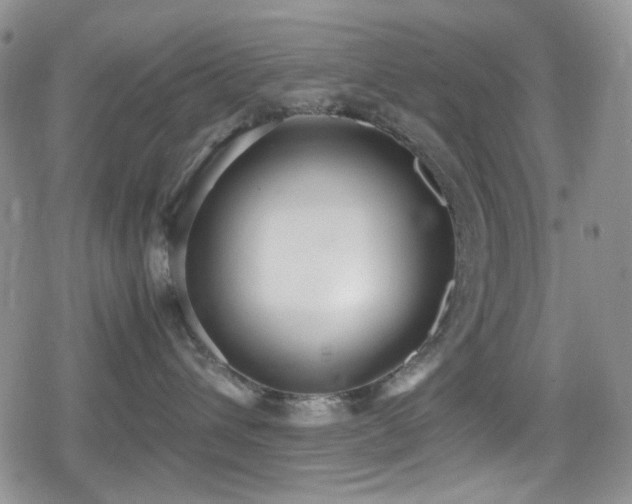 X0000080170432200612081405