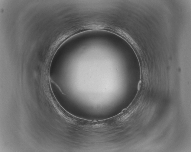 X0000080170433200612081404