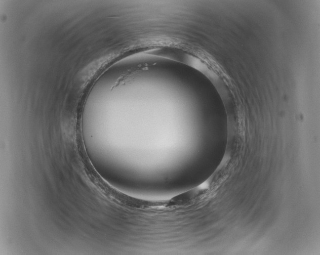 X0000080170434200612081404